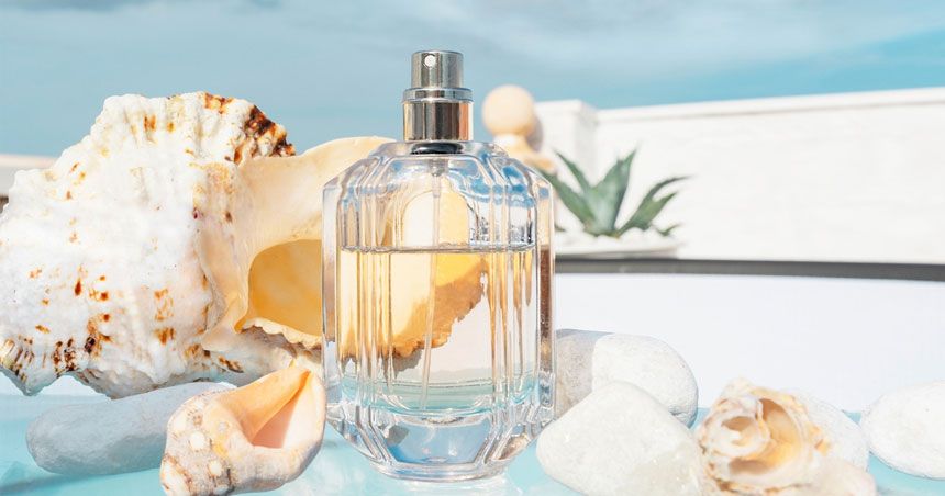 معرفی بهترین عطرهای مناسب برای فصول گرم معرفی بهترین عطرهای مناسب برای فصول گرم