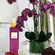 تصویر  بادی اسپلش کلوین کلین ایفوریا زنانه (200 میل)